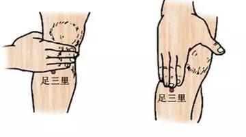 足三里.jpg