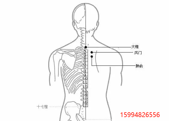 风门穴.png