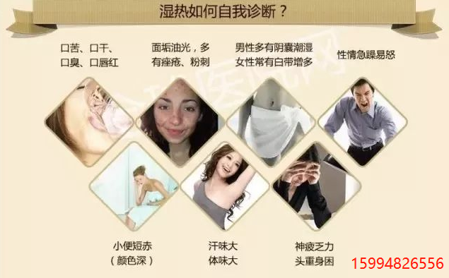 5.14后背-湿热.png