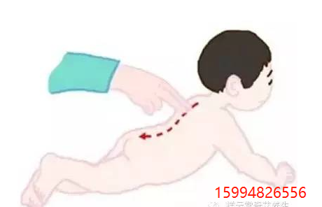 5.29身柱穴2.png