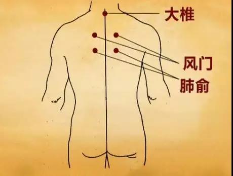 后背.jpg