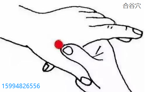 合谷穴.png