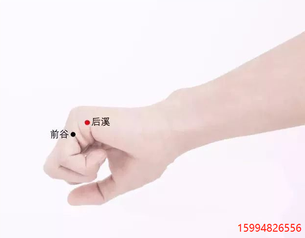 5.21后溪穴.png