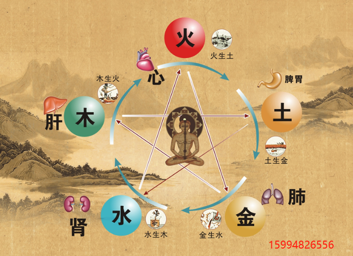 5.25养生窝.png