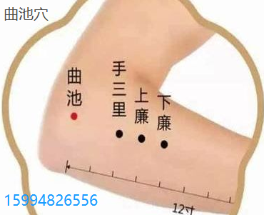 曲池穴.png