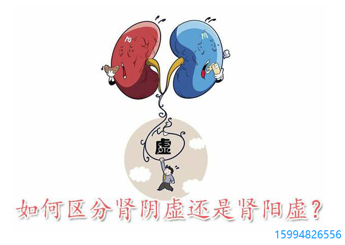 肾阴阳虚.png
