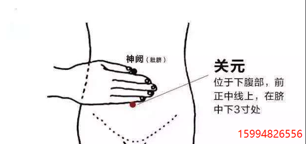 关元穴1.png