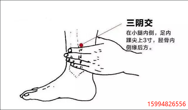 三阴交穴.png