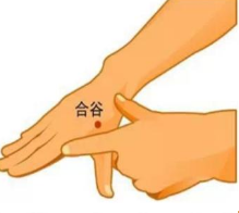 合谷穴.png