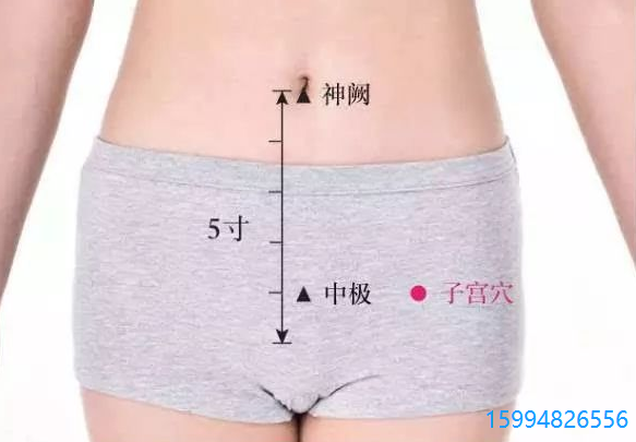 5.13.月经.中极穴.png