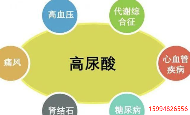 5.21尿酸.png
