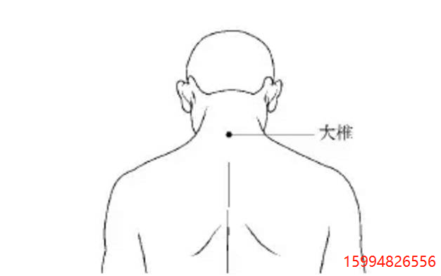 大椎穴.png