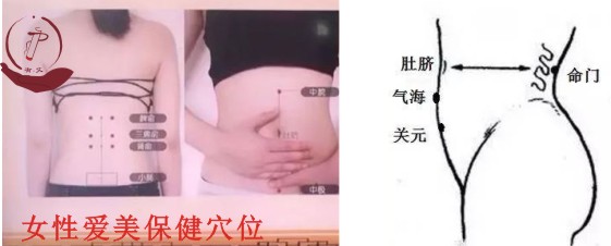 女性保健穴位.jpg