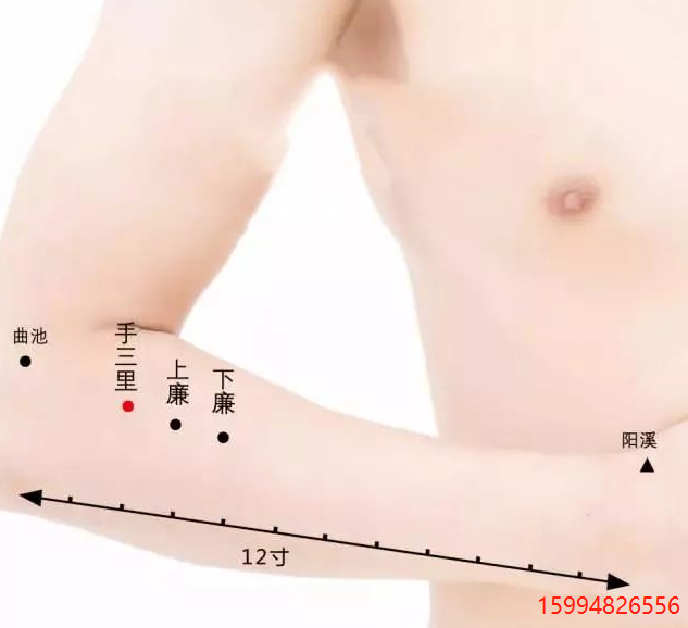 5.21手指麻木-手三里.png