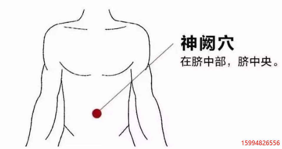 神阙穴.png