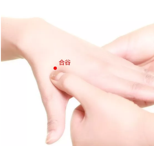e3c54566ee2f4b1b2cd79c7c023fa07.png