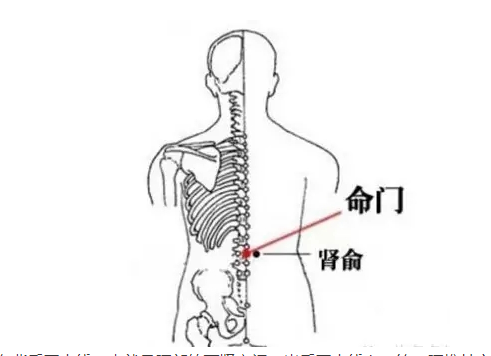 微信截图_20200428095518.png