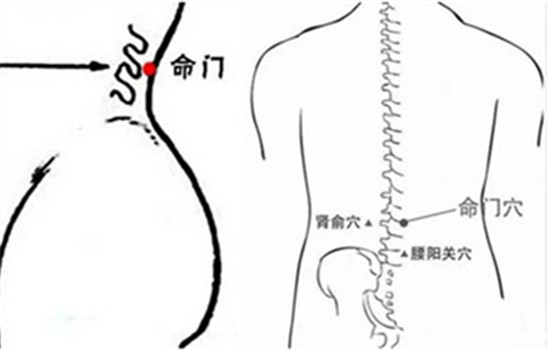 581009814d3ab_550_0.jpg