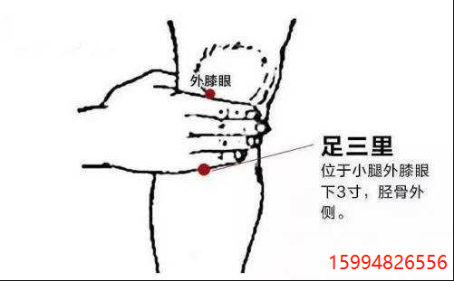 足三里穴.png